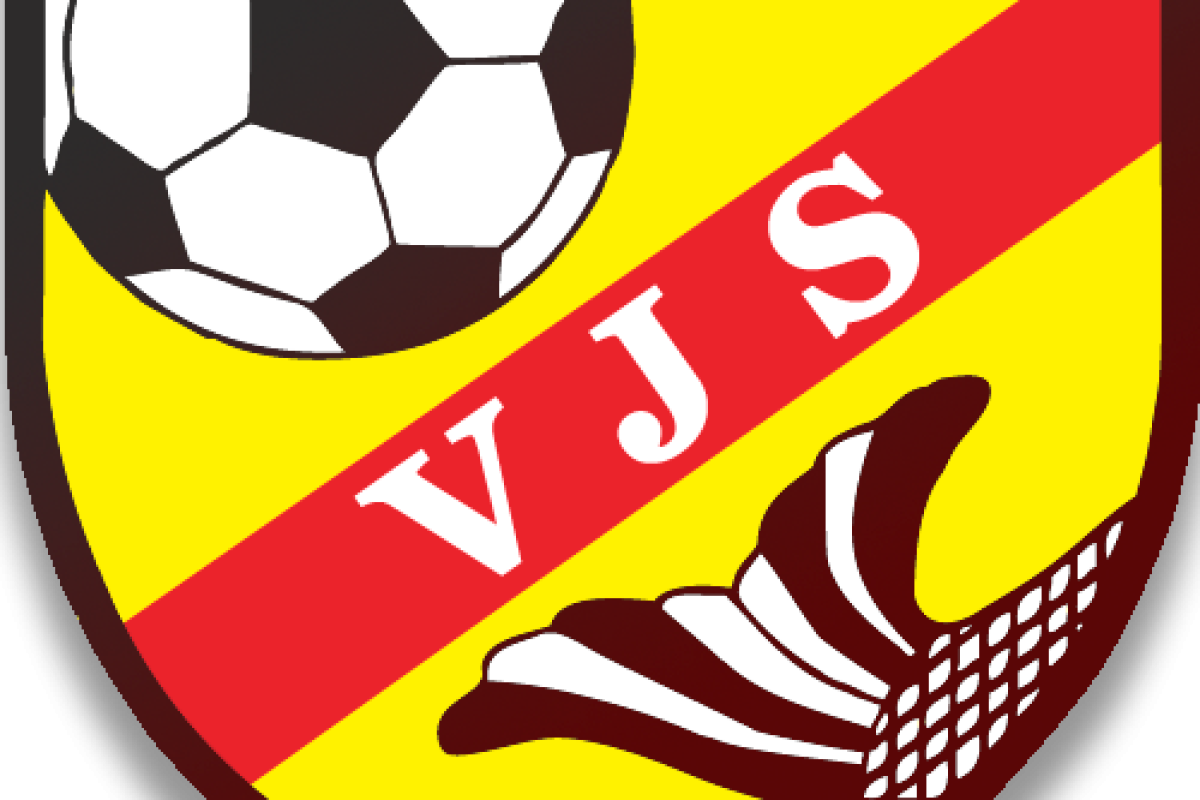 VJS-logo_shaded_w500px
